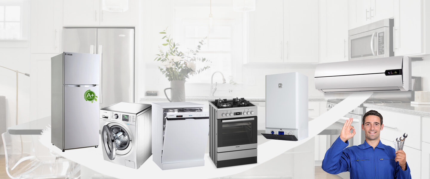 Pasinler Electrolux Servisi
